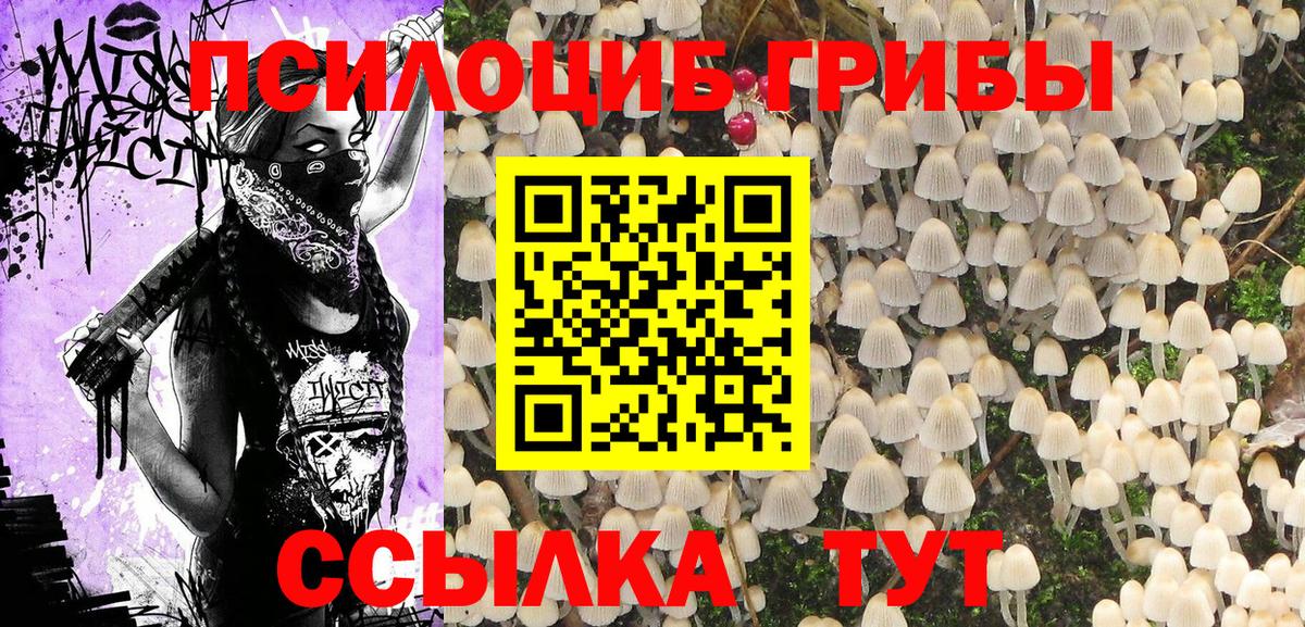 Заводоуковск  Галлюциногенные грибы мицелий  Псилоцибиновые грибы прущие грибы  Вход с VPN 