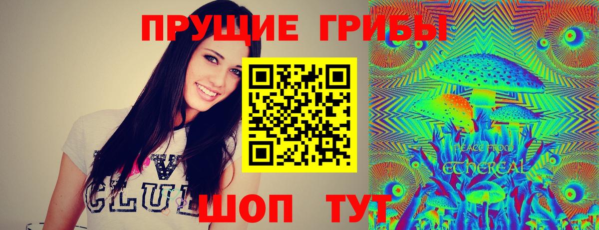 Псилоцибиновые грибы мицелий Заводоуковск